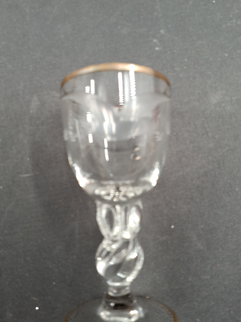 Snapseglas måge